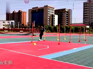 SPEEDS STICK BASE ORIGINAL IMPORT LATIHAN AGILITY DAN KELINCAHAN INTERNATIONAL 037-7