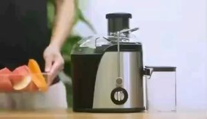 CHIC Pembuat jus multifungsi Portable Slow Juicer 99% Blender Jus Segar 800W Stainless Steel Juicer Blender