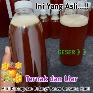 Madu Asli Murni Dari Peternak Langsung Bergaransi