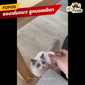 FoFos Ball Box ของเล่นแมว ลูกบอลของเล่นแมว เขย่ามีเสียง เพิ่มความสนุก ลูกบอลเชือกแมว มี 4 สีให้เลือก