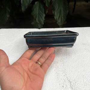 Chậu chữ nhật mini trồng bonsai sen đá xương rồng size 1
