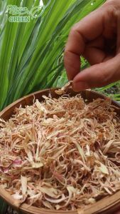 MycoGREEN Trà Thảo Mộc Sả Chanh PP trồng Hữu Cơ