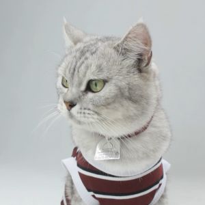 Kalung Kucing Custom Nama Lonceng Lucu Terbaru Gratis Ongkir - Kalung Marhaban Ramadhan Series