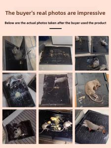 MONLEYTA | Super Strong Mouse Trap Stickers 30 Pieces Household Rat Catcher Hard Paper Board Large Mouse Capture And Kill Mouse Tool