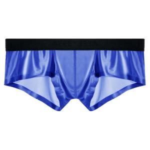AEEEYEEE | Ice Silk Breathable Men Boxer Briefs