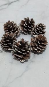 QCF Hiasan Pohon Natal Pinus Mini Gantungan Pinus Salju Hiasan Gantung Pohon Natal Ornamen Xmas Tree Christmas Pine Tree Decorations Dekorasi Pohon Natal Gantungan Pohon Natal - Pinus Salju kecil