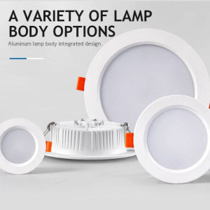 LED Downlight 5W 9W 12W 18W 24W AC220V Recessed Spot Thick Aluminum Lighting Bedroom Kitchen Indoor Down Lamp