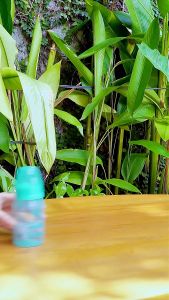 Vitaflow Baby Bottle 3pk Paket Botol Susu Bayi isi 3pcs Ekonomis Hemat BPA Free