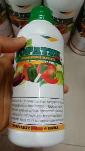 nopatek fungisida hayati orgaik obat patek penyakit tanaman isi 500ml