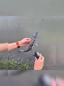 Remote Control Realistic Marine Dinosaur Toy