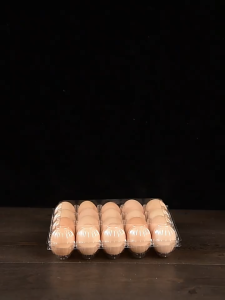 Local Warehouse 12 Slots Egg Tray Plastic Container 100 Pcs Per Bundle Space-saving