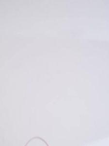 URCDN RDALVO | Luxurious and Elegant New Style Tote Bag Women Versatile Daily Use