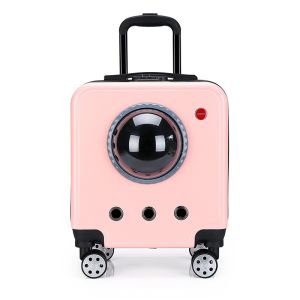 VOA | Space Capsule Style Portable Pet Carrier