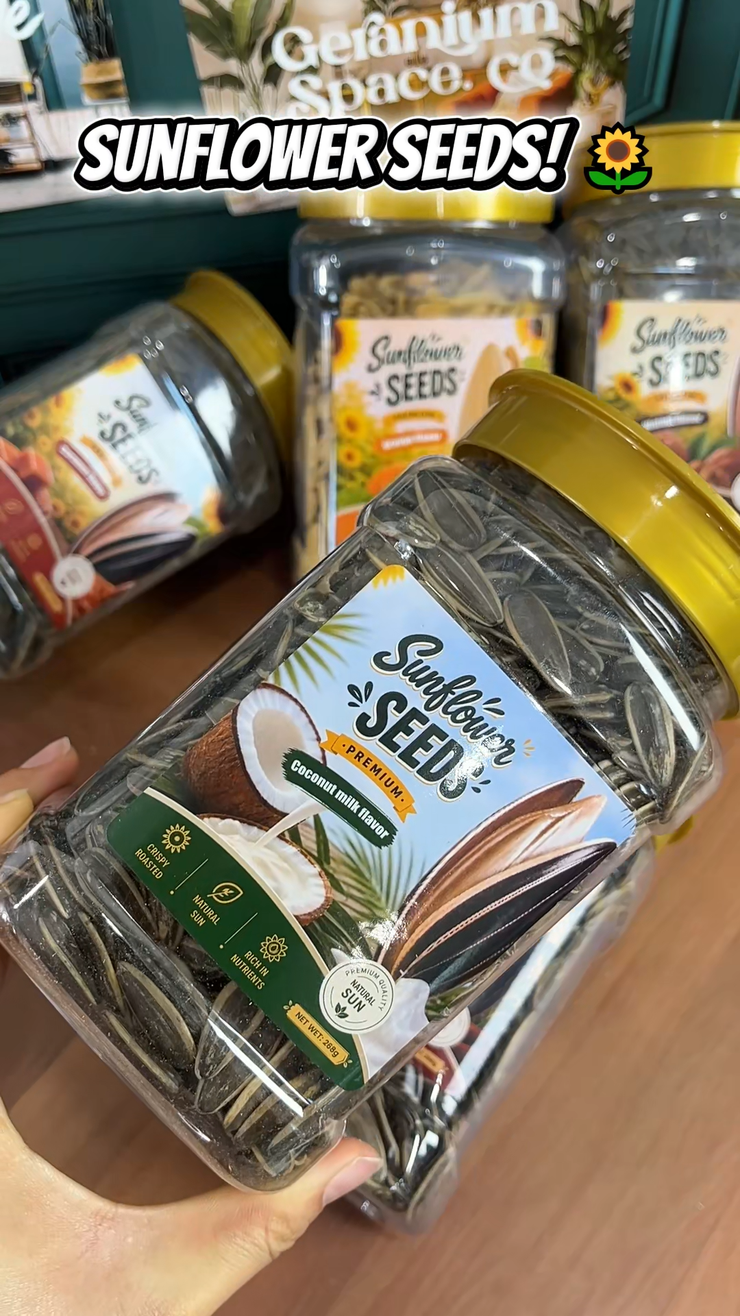 Sunflower Seeds  in 5 Flavors  For Diverse Tastes  Coconut/Caramel/Orange/Walnut/Spiced Sunflower Seed Snack
