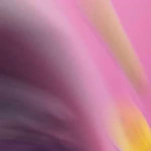 Natural Slimming Pills for Weight Loss 3-8kg Appetite Suppressant Diet Supplement