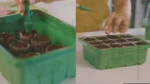 Elevated Seedling Starter Trays 6/12 Cell Breathable Germination Pot Garden Plant Succulent Flower Light Grow Light