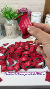 1 Bag 20 Pcs Travel Essential Round Compressed Towels Super Absorbent & Lint-Free Facial Towels