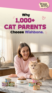[Bundle of 6] Wishbone Cat Urinary Care Wet Topper 85g for Hydration and Urinary Health Grain Free Meal