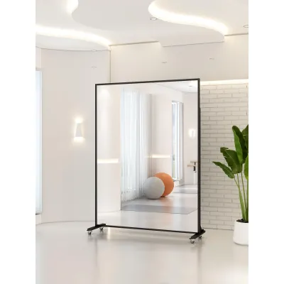 DANBIYIN | Multipurpose Full Length Standing Mirror with Wheels