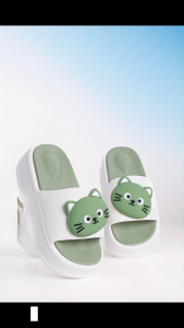 Dép nhựa nữ(35-40)