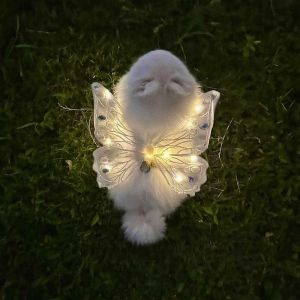 Adorable Dog Wings Glowing Butterfly Back Decor Small Dog Summer Clothes Bear Chest Back Decoration Miniature Poodle Bichon