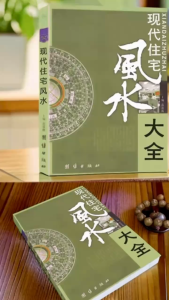 正版 居家风水大全 家居风水100忌 理气风水 中国风水文化 旺铺办公室风水宝典 入门家居风水书 宜忌现代化 装修宝典 风水书籍