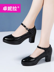 ZHUONILA | Fashionable Stage High Heels Soft Cow Leather