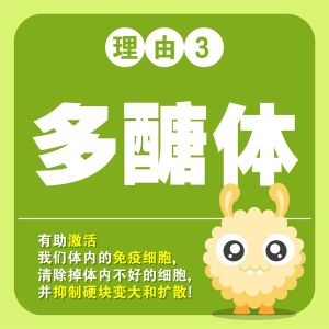 LifeGreen® 仙人掌粉 ●Inhibit Mutant Cells  ●提高免疫力-促进血液循环-抗氧保健 ●798配套提供资料注册会员 •Free VVIP Registration ●授权