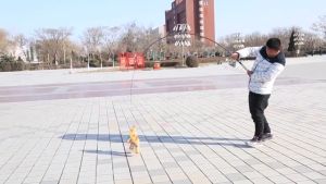 TOKUSHIMA Spinning Rod: A Lightweight Fishing Solution for Various Environments