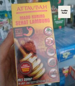 Madu ATTAUBAH: Solusi Madu untuk Kesehatan Lambung