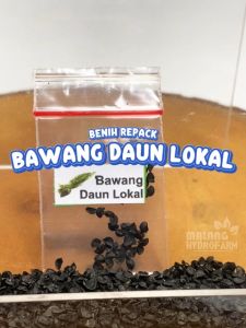 Benih Bawang Daun Lokal Unggulan Berkualitas biji bibit repack allium fistulosum toping bakso dan mie hydroponik hidroponik tanaman sayuran sayur pot