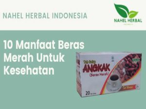Teh Celup Angkak Beras Merah Hikmah - Obat osteoporosis dan memelihara Struktur Tulang - Obat DBD