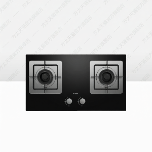 Home Dual Burner Gas Stove