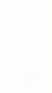 P10432 เดรสตาข่ายระบาย + เดรสสายเดี่ยว Ruffled mesh dress + one-shoulder dress