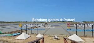 GARAM PATTANI SWEET SALT ASLI THAILAND  / GARAM KASAR 1KG