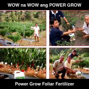 DYNAPHARM POWER GROW ORGANIC FOLIAR COMPLETE FERTILIZER RED AND GREEN PAMPABULAKLAK PAMPABUNGA HUMIC SOIL CONDITIONER