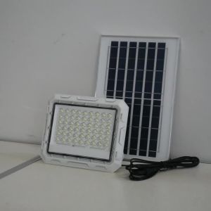 Parkson | Đèn Pha LED 60W AC 220V 240V Chống Nước Ngoài Trời IP65 Đèn Pha Công Suất Cao Phong Cách Hiện Đại Phản Xạ Bằng Nhôm Để Chiếu Sáng Tường