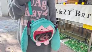 Bandai | 2026 New Hatsune Miku Bag Q Version Kawaii Figure Plush Bag Model Doll Plush Stuffed Toy Shoulder Bag Transparent Backpack Gifts