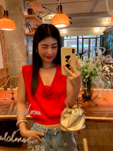 Red V-Neck Knitted Vest Womens Sleeveless Top Design Sensation Miniature Fashionable Straight Cut Original Design Spring 2025