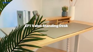 FLEXISPOT Malaysia EF1 Value Electric Height Adjustable Sit Stand Table Home Office Standing Desk