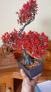 บอนไซเทียมต้นไม้พลาสติกสีเขียวธรรมชาติ ขนาด 30cm x 37cm