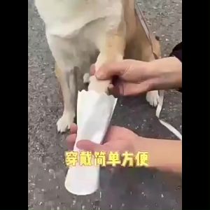 【select_sea】 COD สุนัขสัตว์เลี้ยง ถุงเท้าหมา รองเท้าที่ใช้แล้วทิ้ง รองเท้า ถุงเท้าลูกสุนัข ถุงเท้า กันน้ํา S-L