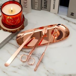 Nordic Style Stainless Steel Candle Snuffer Set Luxury Metal Aromatherapy Candle Tool Kit Bedroom Decorative Home Accessories
