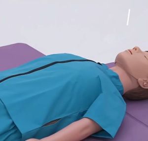 จัดส่งจากประเทศไทย!หุ่น cpr ผู้ใหญ่ หุ่น Medical CPR ผู้ใหญ่ CPR Half-body การฝึก CPR