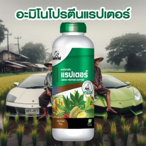 มะละกอ โตไว ใบเขียว ผลดก ผลใหญ่ แข็งแรง ผลผลิตดี อะมิโนโปรตีนจำเป็นสำหรับพืช 20 ชนิด อะมิโนแรปเตอร์ ตรา ไดโนเร็กซ์