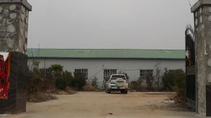 （ Special Effects Stickers ） Nanjing Tongrentang Green Gold Home Mugwort Shoulder Patch Right Angle Shoulder Flat Shoulder Neck Patch Moxibustion Warm Patch