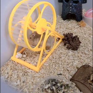 Hamtoro Rolling X8 Kincir Mainan Aksesoris Hamster Lucu