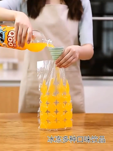 Disposable Ice Bag 10Pcs/Pack Disposable Ice Cube Bags Easy Release Ice Cube Mold Trays Self-Seal Beg Ais Kiub Acuan Pakai Buang 一次性制冰袋