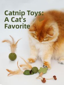 MAOGUANJIA | Catsnip Ball Feather Entertainment Toy