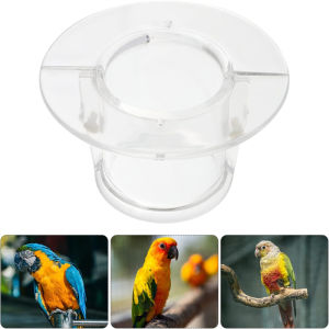 Bird Protective Bead Parrot Collar Anti Feather Picking Ring Anti-Plucking Anti-Grab Collars Pet Supplies for Rodents & Birds